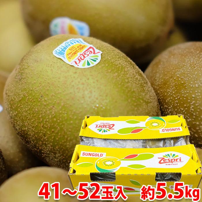ニュージーランド産 キウイフルーツ ゼスプリ サンゴールド 中玉サイズ