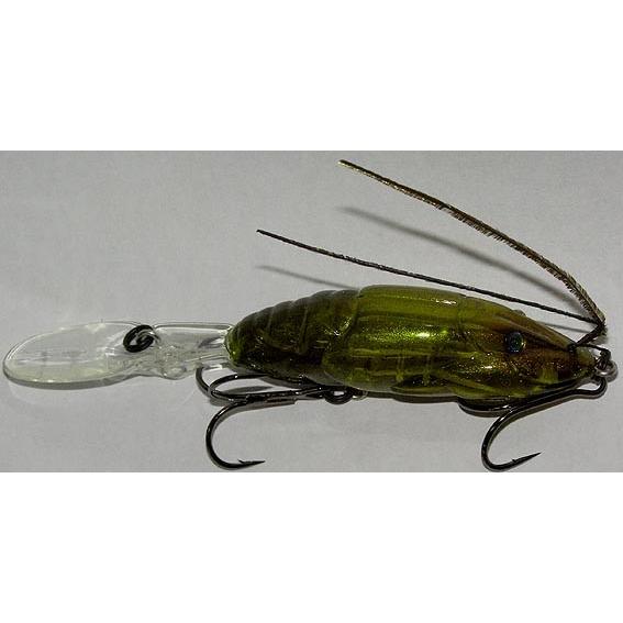 Megabass（メガバス） megabass X-DAD / メガバス エックスダッド