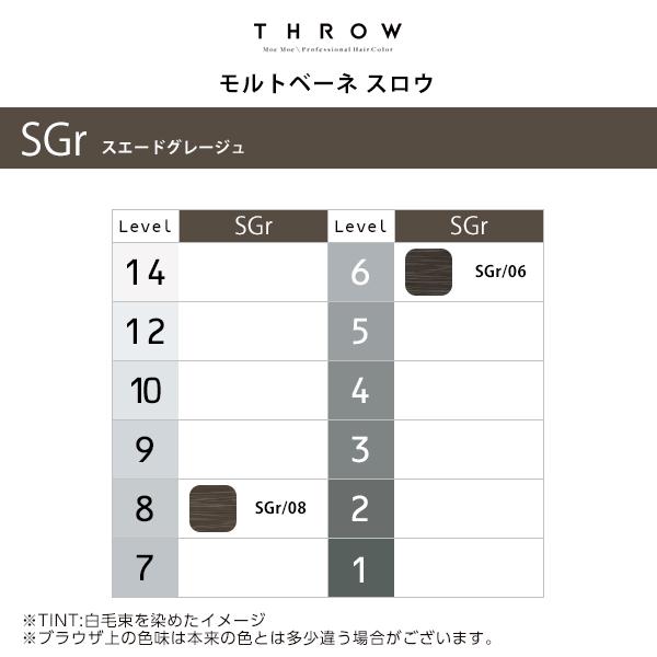 THROW b-ex スロウ ONE COLOR コンフォートカラー 100g 第1剤