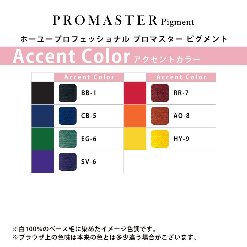 hoyu（ホーユー） プロフェッショナル プロマスター ピグメント