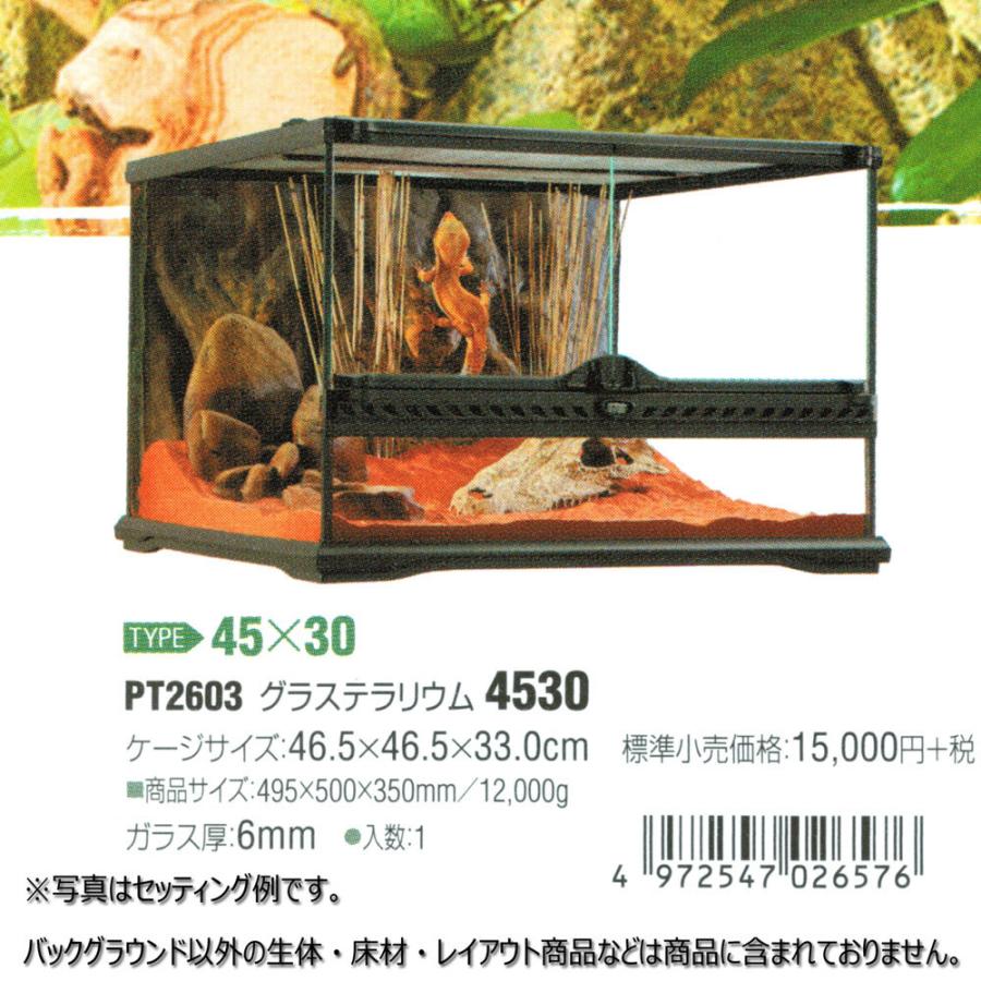 GEX（ジェックス） 【全国送料無料】 エキゾテラ グラステラリウム