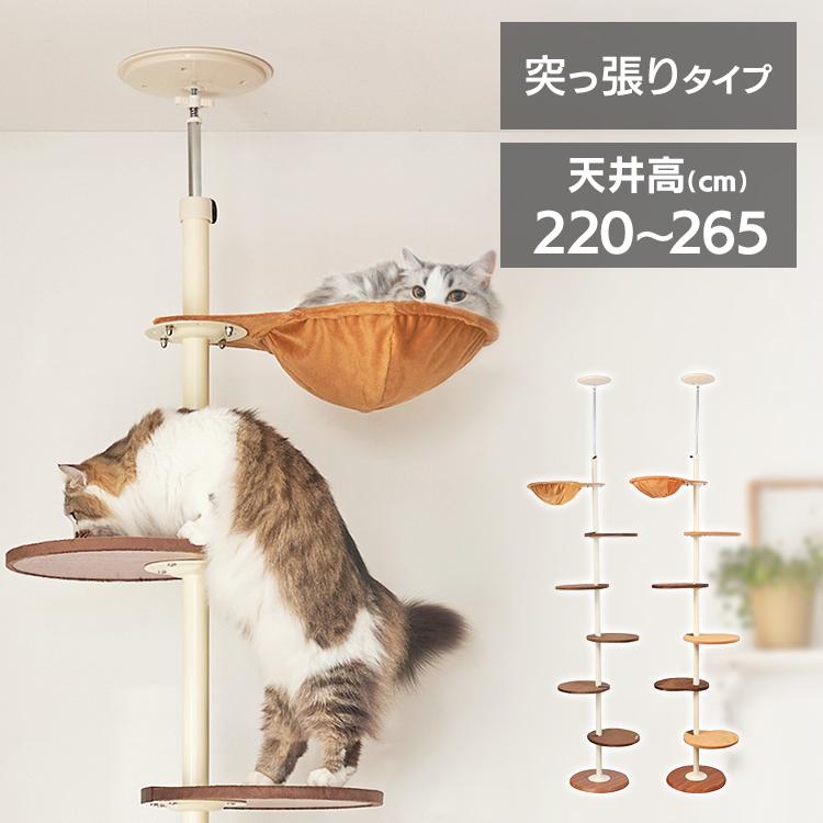 ボンビアルコン キャットタワー 木製 突っ張り 猫 タワー 猫タワー 省