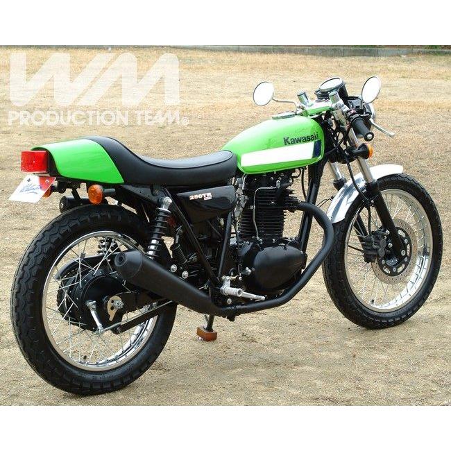 WM（ダブルエム） KHルック テールカウル COMP 250TR KAWASAKI