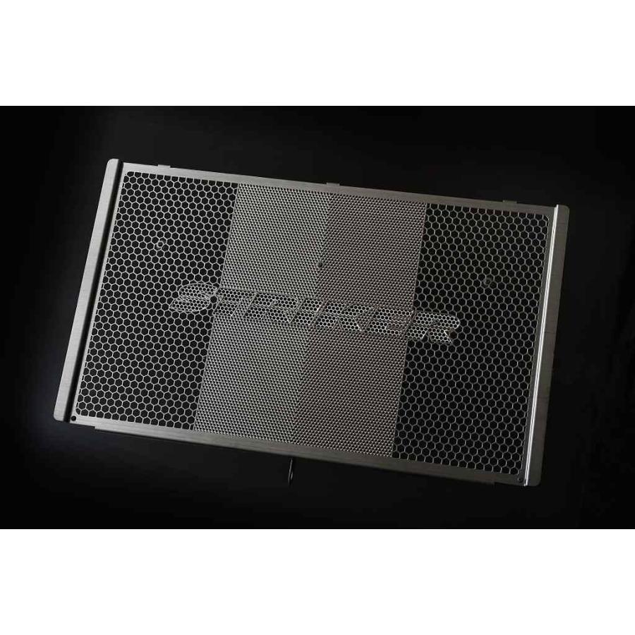 STRIKER（ストライカー） ラジエターコアガード Ninja1100SX SE