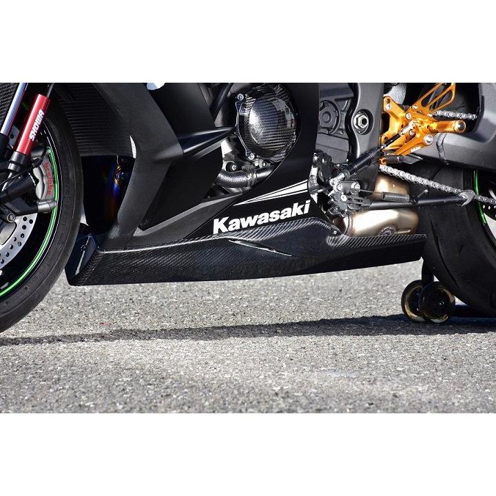 EIGHT(才谷屋) エイト(サイタニヤ) 純正カウル対応 アンダーカウル