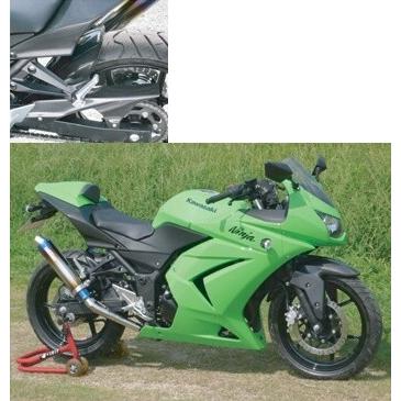 COERCE（コワース） RSリアフェンダー タイプ：カーボン Ninja250R