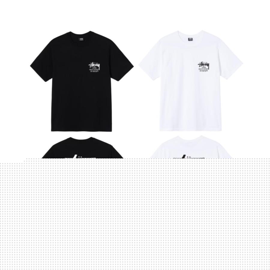 STUSSY（ステューシー） STOCK DSM LOS ANGELES T-SHIRT Tシャツ