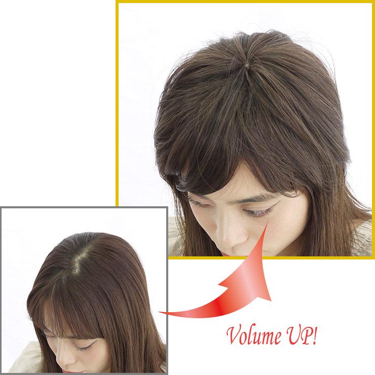 ウィッグ 部分ウィッグ 白髪隠し 送料無料 ロングヘアピース ロング