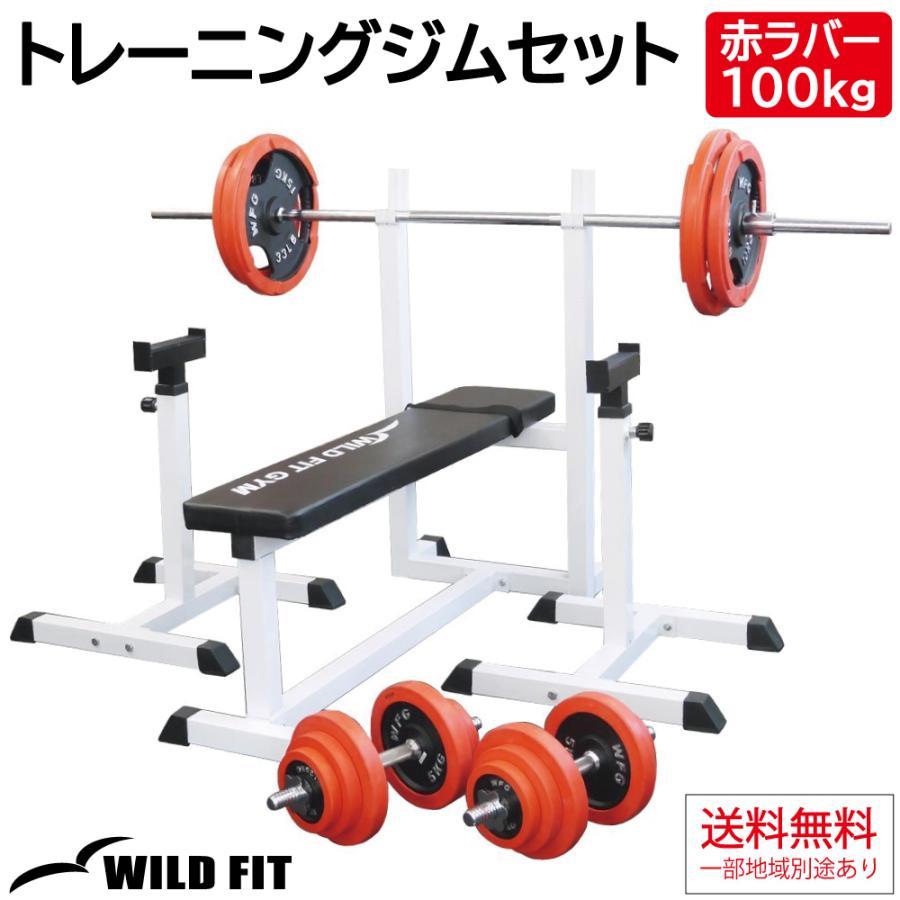 WILD FIT（ワイルドフィット） トレーニングジムセット 赤ラバー 100kg