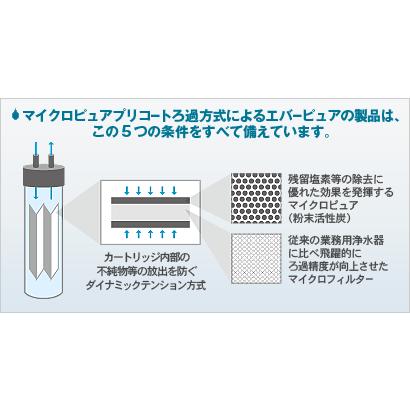 エバーピュア浄水器用 交換カートリッジ 2-DC : TOUEI-PARTS - 通販