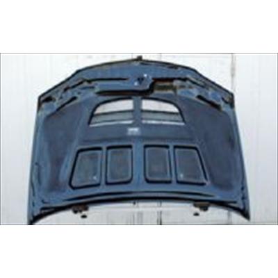 納期未定」 ランサーエボリューションIX CT9A GTボンネットレイン