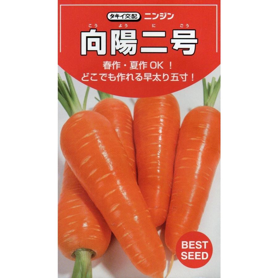 ニンジン 向陽二号 ペレット種子700粒入り 郵便発送商品 : タネの