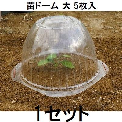 5枚入) 苗ドーム 大 第一ビニール 苗カバー (zs30) : ザ・タッキー