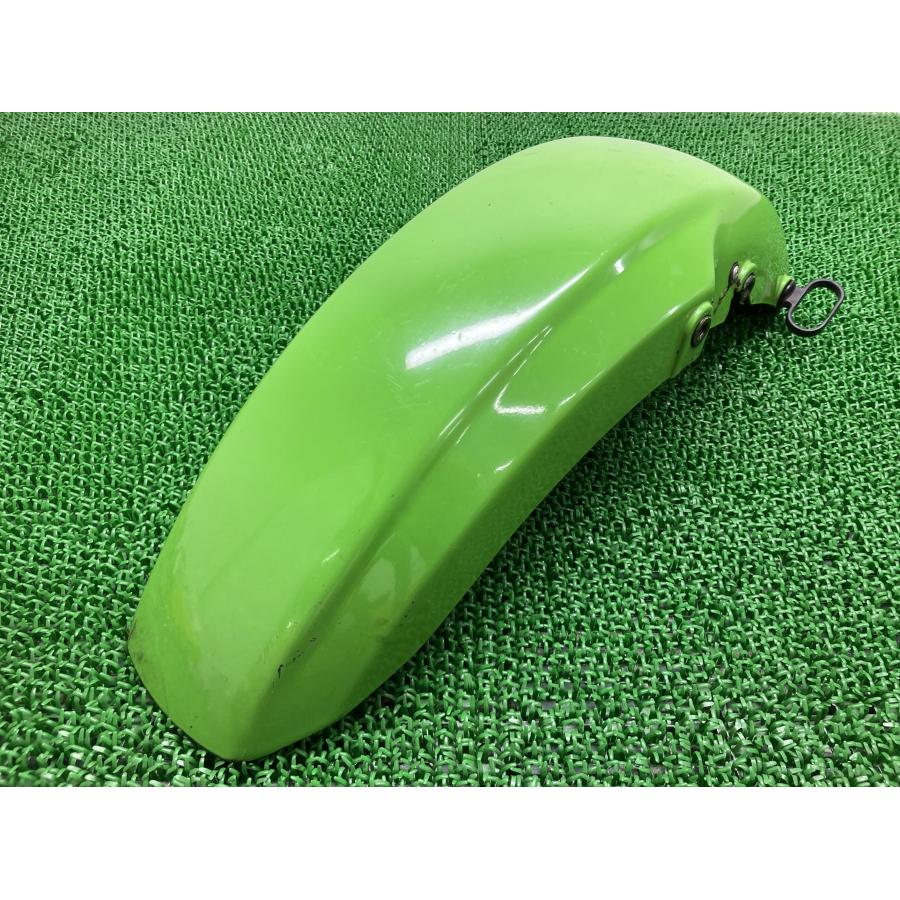 カワサキ（Kawasaki） ZRX400 フロントフェンダー 緑 35004-1325 純正