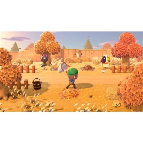 任天堂（Nintendo） あつまれ どうぶつの森 Nintendo Switch HAC-P