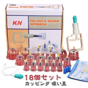 カッピング 吸玉 吸い玉 小型 電動 真空ポンプ αミニ 12V 医工 吸引器