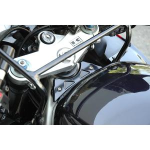 ZX-9R 98'〜03' タンクエンドプレート シルバー : Complsah Factory