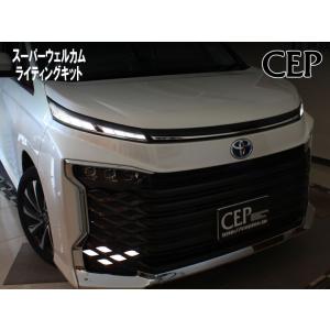 モデリスタ ヴォクシー 90系 サイドウェルカムイルミ : オート