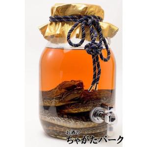 夫婦ハブ入り】 南都酒造 琉球の酒 夫婦ハブ入りハブ酒 35度 1400ml