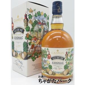 Hennessy（ヘネシー） 未開栓 パラディ エクストラ ブランデー 700ml