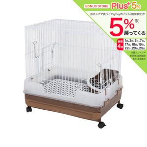 GEX（ジェックス） ラビんぐ フラットフロア70 ネザーランドドワーフ