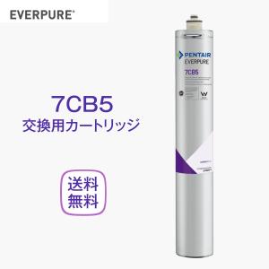 エバーピュア ESO7 浄軟水器カートリッジ 業務用 : 厨房 キッチン