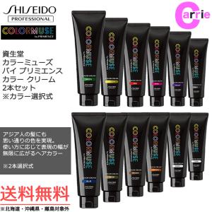 SHISEIDO PROFESSIONAL（資生堂プロフェッショナル） 送料無料｜資生堂