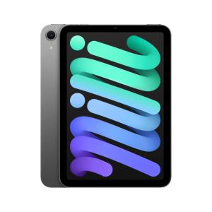 Apple iPad mini 第7世代 セルラー 128GB MXPN3JA スペースグレイ【お