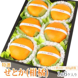 フルーツ ギフト ホワイトデー お彼岸 進学 お雛様 【せとか(長崎産