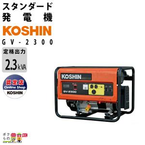 工進（KOSHIN） インバーター発電機 GV-9i (GV-9i-AAA-2) 定格出力0.9