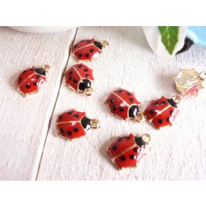 チャーム アクセサリー レディバグ てんとう虫 charm レディース