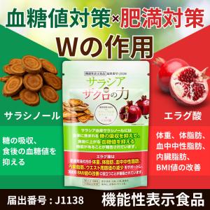 メタバリア プレミアムEX 112粒 14日分 サプリメント : バラエティ