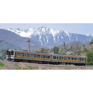 グリーンマックス 31619 JR311系（2次車）4両編成セット（動力付き