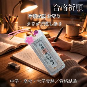 模型 3Dカバラ パドマ（ステンレス） 丸山式 開運グッズ 丸山修寛医師