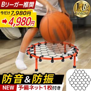 エアドリブル Alr Dribble バスケットボール 室内練習グッズ/Clipper