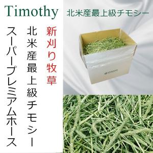 EXTOLEVEL（エクストレベル） Yahoo!限定 | 濃緑 大容量 チモシー