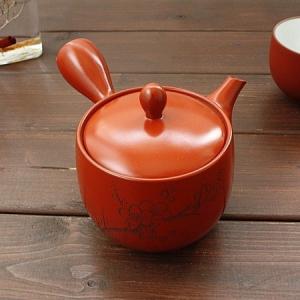 朱泥急須 即納 茶こし網付き 松 TC-9502 急須 陶器 茶器 ティーポット