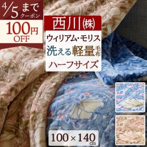 西川（nishikawa） 毛布 ハーフ お昼寝 140×100cm 軽量 ハーフケット
