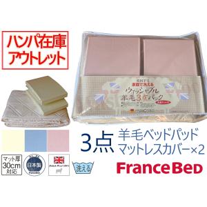 フランスベッド（FRANCEBED） アウトレット 最終在庫 羽毛掛ふとん