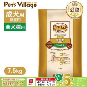 Nutro ニュートロ ナチュラル チョイス 減量用 全犬種用 成犬用 ラム