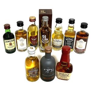 輸入ウイスキー・ブランデー ミニチュアボトル 50ml 10本セット : 蔵の