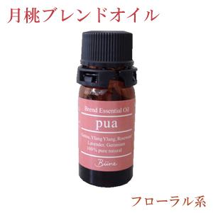 月桃 エッセンシャルオイル 精油 シマ月桃 5ml 日本月桃 沖縄 お土産