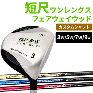 予告】3/8(日)☆ポイント最大16％還元 3W〜9W 単品販売（FD-60：標準