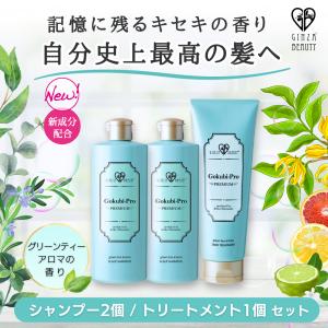 PREMIUMシャンプー&トリートメント ゴクビプロ リバースケアセット 10