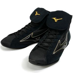 MIZUNO（ミズノ） ボクシングシューズ イージースペクトラ 02パール