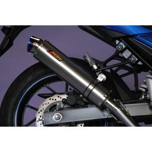 GSX Realize GSX250R バイクマフラー 2BK-DN11A 8BK-DN12B アリア