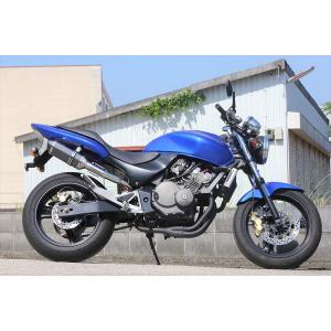 ホンダ HORNET250 ホーネット250 LCIPARTS ショートチタンスリップオン