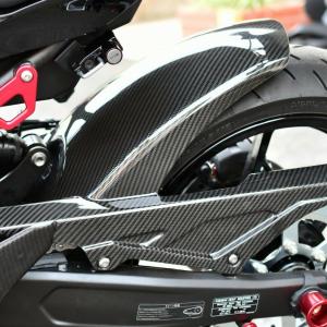 KAWASAKI ZX25R NINJA ウェットカーボン サイドウィングレット