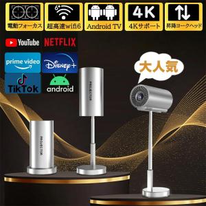 D4111N12 Anker Nebula Capsule Pro モバイルプロジェクターAndroid