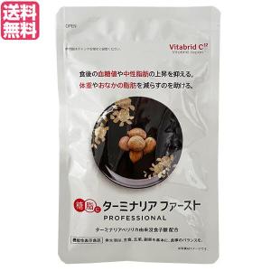 ターミナリアファースト プロフェッショナル3(スリー)120粒 機能性表示